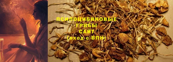 круглые Абаза