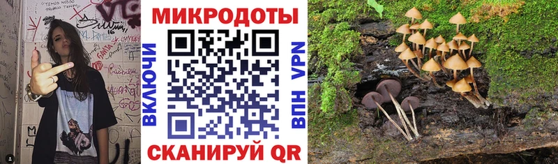 МЕГА ONION  где купить   Киселёвск  Галлюциногенные грибы Cubensis 